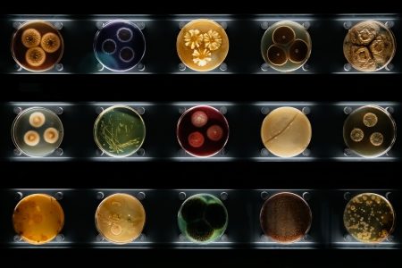 microbiología agricola(1)